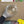 Bunte Dose (1kg)